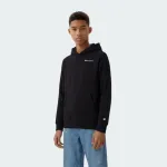 CHAMPION CORE HERITAGE HOODED SWEATSHIRT