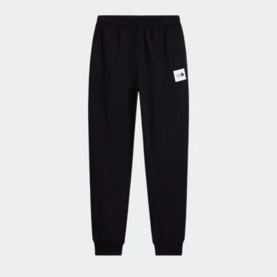THE NORTH FACE EVO BOX HD REGULAR PANT